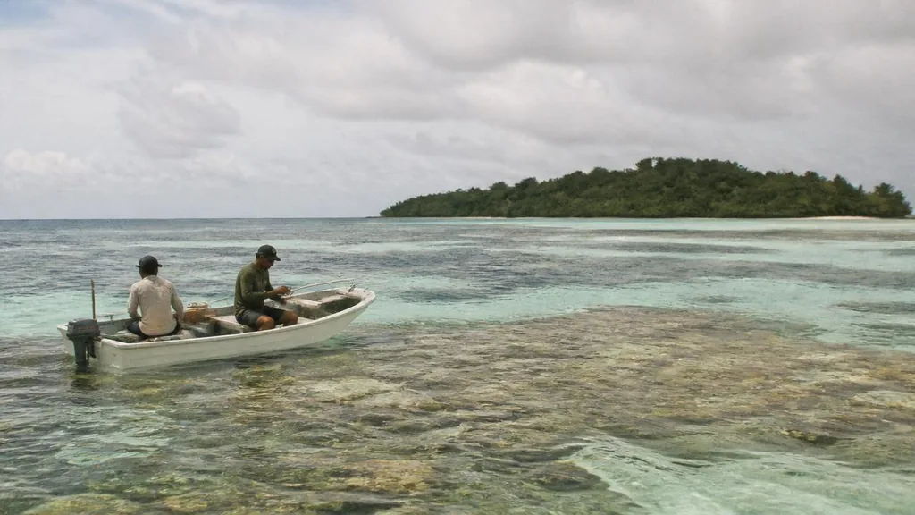 Pacific Island reef lagoon and low-impact conservation tourism platform